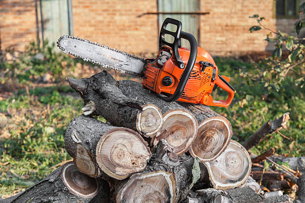 Best Professional Tree Care  in Rossville, GA